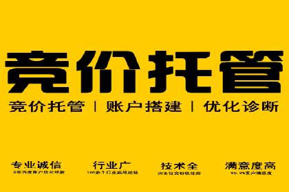 百度推广运营实战：从入门到精通